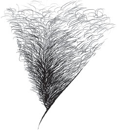 Иллюстрация к книге — Старше, но лучше. Искусство взрослеть, не старея [i_002.jpg]