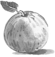 Иллюстрация к книге — Как мы едим [i_001.jpg]