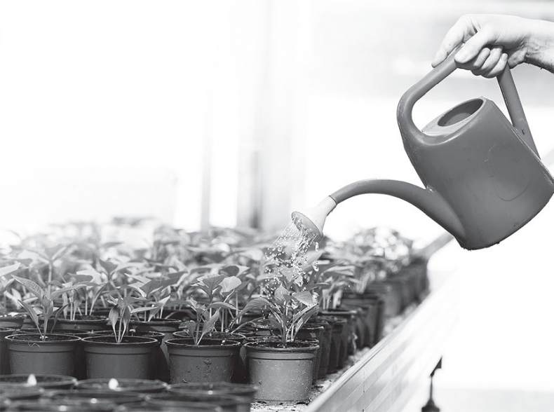 Иллюстрация к книге — История нефти. «Чёрное золото» – универсальный продукт [i_028.jpg]