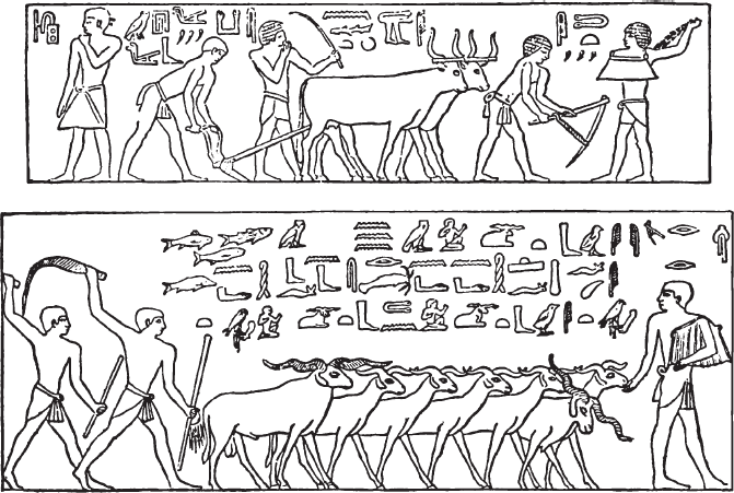 Иллюстрация к книге — История Египта c древнейших времен до персидского завоевания [i_041.jpg]