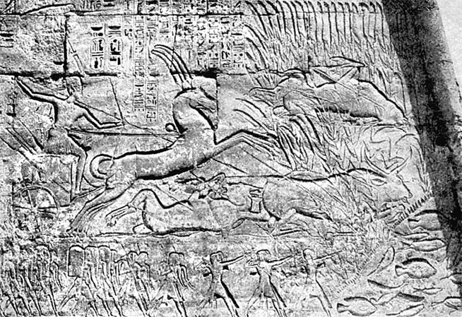 Иллюстрация к книге — История Египта c древнейших времен до персидского завоевания [i_154.jpg]