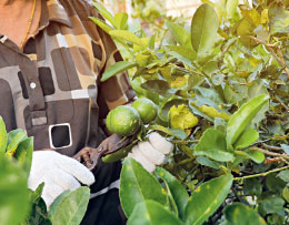 Иллюстрация к книге — Омоияри. Маленькая книга японской философии общения [i_027.jpg]