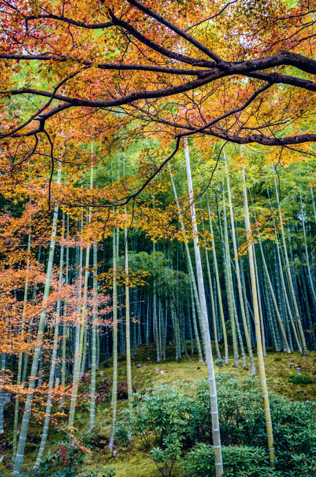 Иллюстрация к книге — Омоияри. Маленькая книга японской философии общения [i_064.jpg]