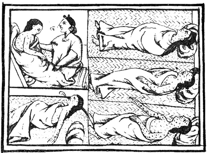 Иллюстрация к книге — Вирусы и эпидемии в истории мира. Прошлое, настоящее и будущее [i_007.jpg]