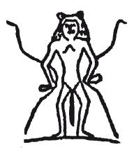 Иллюстрация к книге — Мифы Древнего Египта [i_069.jpg]