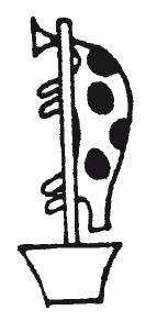 Иллюстрация к книге — Мифы Древнего Египта [i_117.jpg]