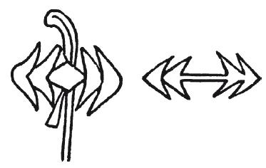 Иллюстрация к книге — Мифы Древнего Египта [i_141.jpg]