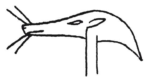 Иллюстрация к книге — Мифы Древнего Египта [i_181.jpg]