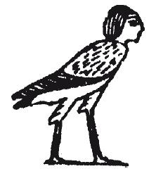 Иллюстрация к книге — Мифы Древнего Египта [i_188.jpg]