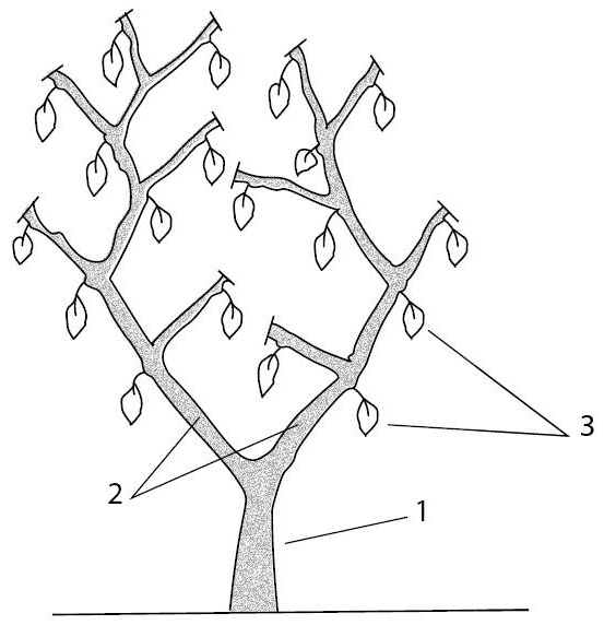 Иллюстрация к книге — Теплицы и парники. Секреты раннего урожая [i_031.jpg]