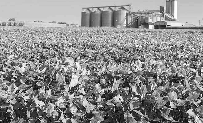 Иллюстрация к книге — Боевая экология. Как Greenpeace, WWF и другие международные экологические организации подрывают развитие России [i_024.jpg]