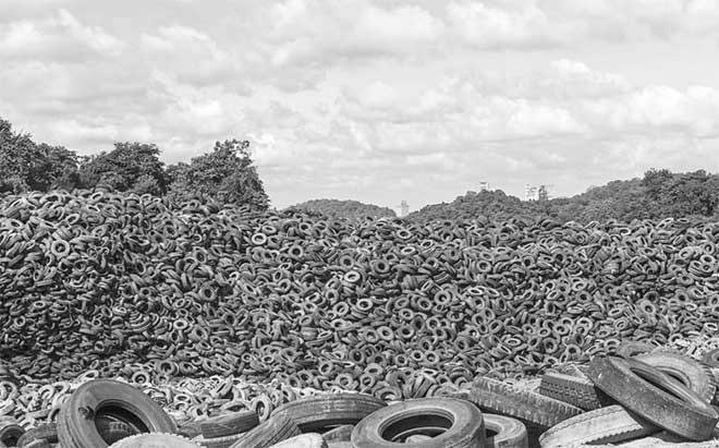 Иллюстрация к книге — Боевая экология. Как Greenpeace, WWF и другие международные экологические организации подрывают развитие России [i_026.jpg]