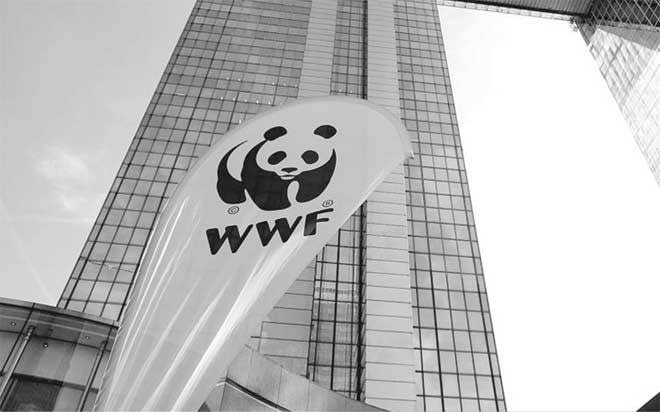 Иллюстрация к книге — Боевая экология. Как Greenpeace, WWF и другие международные экологические организации подрывают развитие России [i_067.jpg]