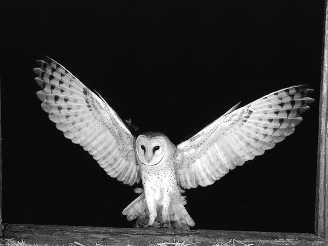 Иллюстрация к книге — Китайские притчи [i_004.jpg]