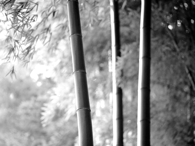 Иллюстрация к книге — Китайские притчи [i_029.jpg]