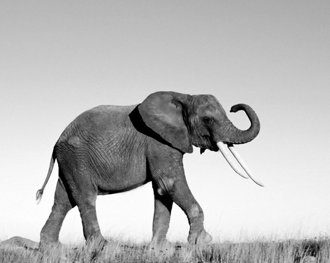 Иллюстрация к книге — Китайские притчи [i_030.jpg]