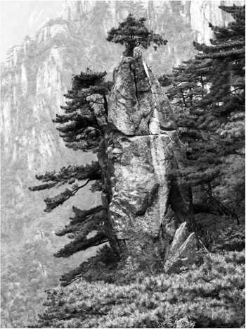 Иллюстрация к книге — Китайские идиомы [i_039.jpg]