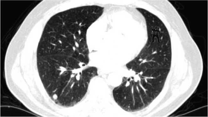 Иллюстрация к книге — Что такое наука, и как она работает [img_9.jpg]
