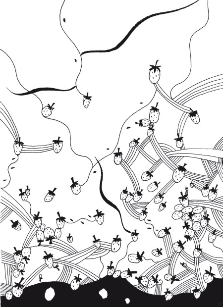 Иллюстрация к книге — Сияющий Алтай. Горы, люди, приключения [i_021.jpg]