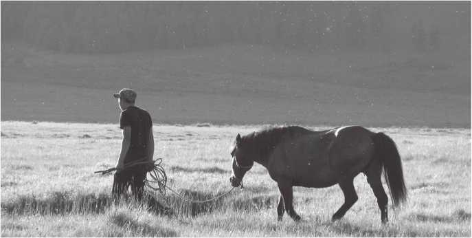 Иллюстрация к книге — Сияющий Алтай. Горы, люди, приключения [i_030.jpg]