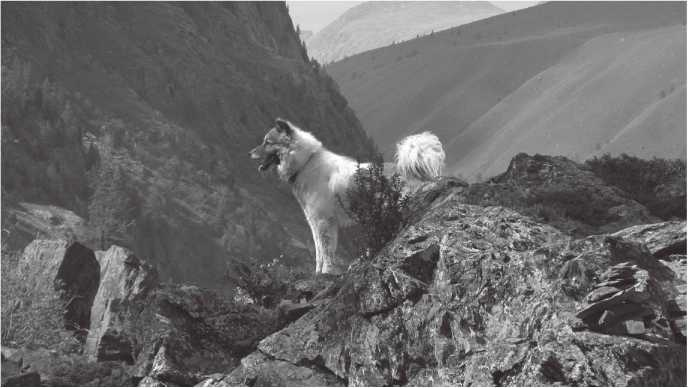 Иллюстрация к книге — Сияющий Алтай. Горы, люди, приключения [i_033.jpg]