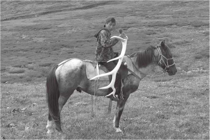 Иллюстрация к книге — Сияющий Алтай. Горы, люди, приключения [i_041.jpg]