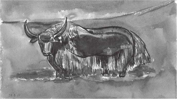 Иллюстрация к книге — Сияющий Алтай. Горы, люди, приключения [i_058.jpg]