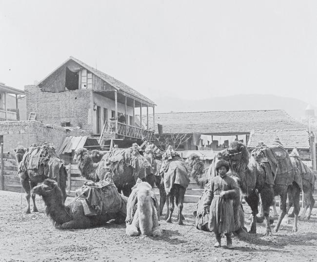 Иллюстрация к книге — Нобели в России. Как семья шведских изобретателей создала целую промышленную империю [i_080.jpg]