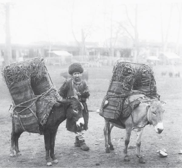 Иллюстрация к книге — Нобели в России. Как семья шведских изобретателей создала целую промышленную империю [i_083.jpg]