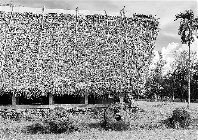 Иллюстрация к книге — История денег. От раковин каури до евро [i_003.jpg]