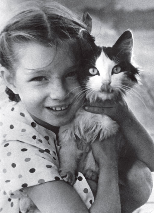 Иллюстрация к книге — Мадам «Нет» [i_005.jpg]