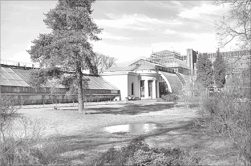 Иллюстрация к книге — Путеводитель по Петербургу. Увлекательные экскурсии по Северной столице. 34 маршрута [i_066.jpg]