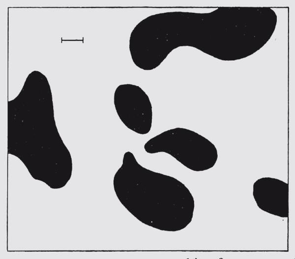 Иллюстрация к книге — Холодильник Эйнштейна. Как перепад температур объясняет Вселенную [img_24.jpg]