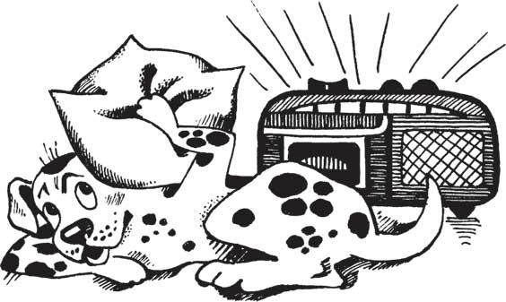 Иллюстрация к книге — Загадки и тайны науки [i_014.jpg]