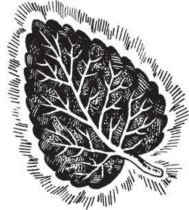 Иллюстрация к книге — Загадки и тайны науки [i_017.jpg]