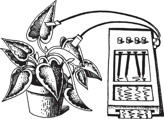 Иллюстрация к книге — Загадки и тайны науки [i_019.jpg]