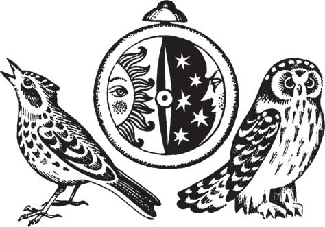 Иллюстрация к книге — Загадки и тайны науки [i_040.jpg]