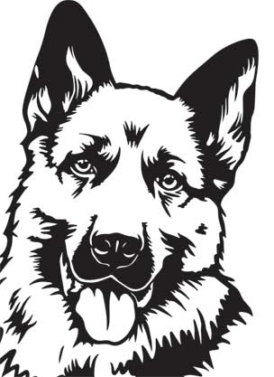 Иллюстрация к книге — Загадки и тайны науки [i_043.jpg]