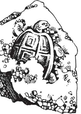 Иллюстрация к книге — Загадки и тайны науки [i_056.jpg]