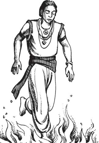 Иллюстрация к книге — Загадки и тайны науки [i_062.jpg]