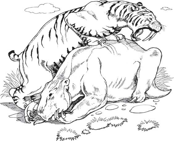 Иллюстрация к книге — Загадки и тайны науки [i_072.jpg]