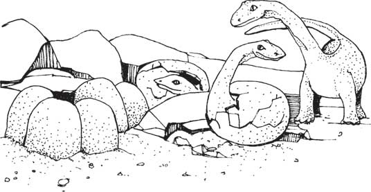 Иллюстрация к книге — Загадки и тайны науки [i_073.jpg]