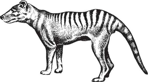 Иллюстрация к книге — Загадки и тайны науки [i_074.jpg]