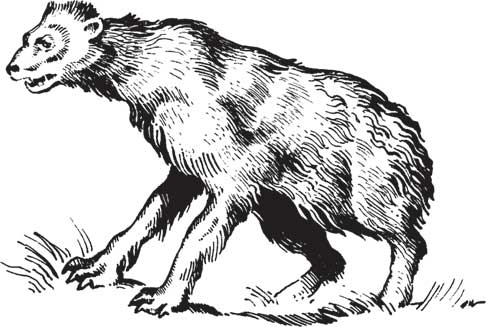 Иллюстрация к книге — Загадки и тайны науки [i_075.jpg]