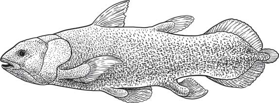 Иллюстрация к книге — Загадки и тайны науки [i_076.jpg]