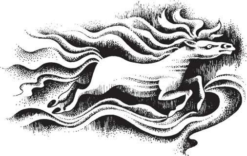 Иллюстрация к книге — Загадки и тайны науки [i_087.jpg]