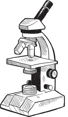 Иллюстрация к книге — Загадки и тайны науки [i_115.jpg]