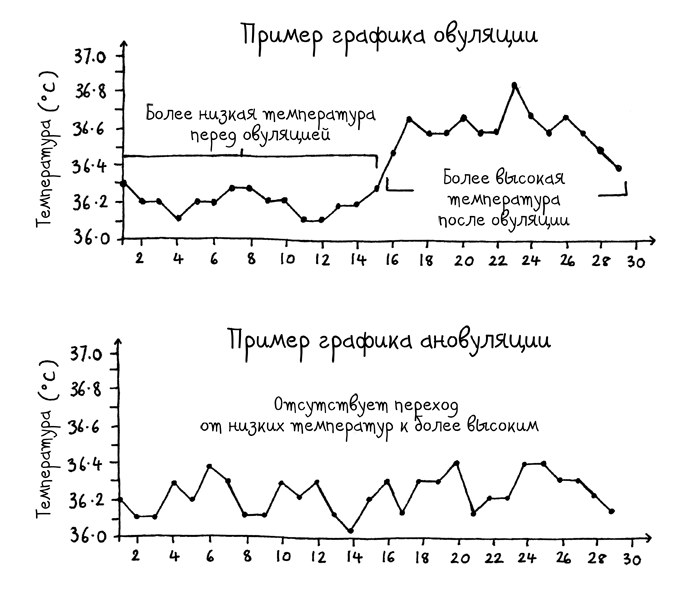 Иллюстрация к книге — Сила цикла. Как использовать непостоянство гормонов, чтобы жить на полную [i_013.jpg]