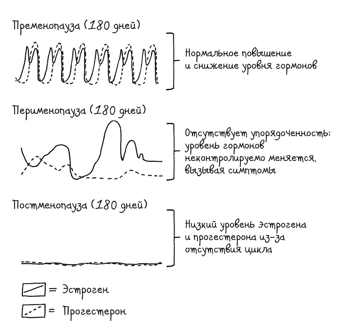 Иллюстрация к книге — Сила цикла. Как использовать непостоянство гормонов, чтобы жить на полную [i_019.jpg]