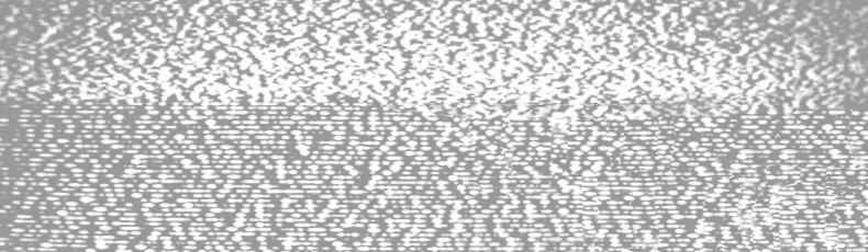 Иллюстрация к книге — Пять ночей у Фредди: Ужасы Фазбера. В бассейн! [i_003.jpg]